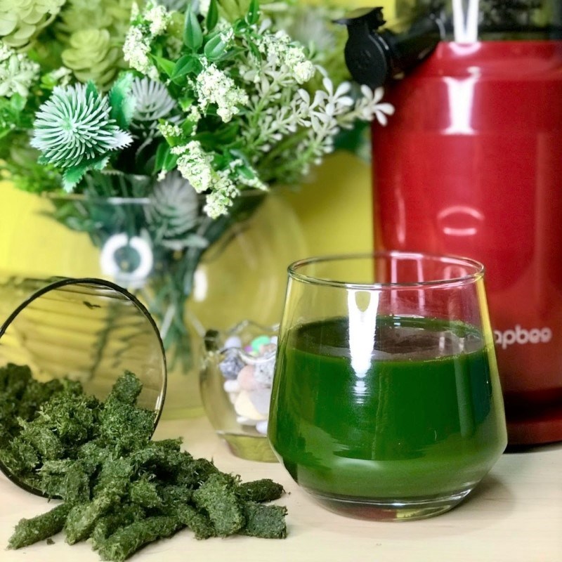 Step 3 Finished Product of Pennywort Juice using a slow juicer