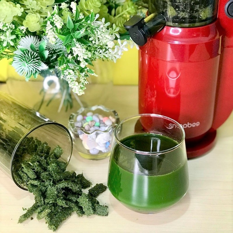 Step 3 Final product Malabar spinach juice using a slow juicer