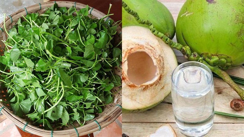 Ingredients for coconut pennywort juice