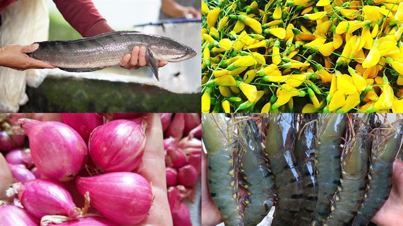 Ingredients for the dish of fish noodle soup in Kiên Giang