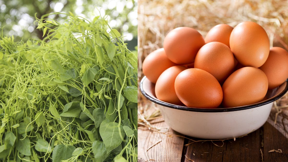 Ingredients for the dish Stir-Fried Cowpea with Eggs using a deep pan super simple