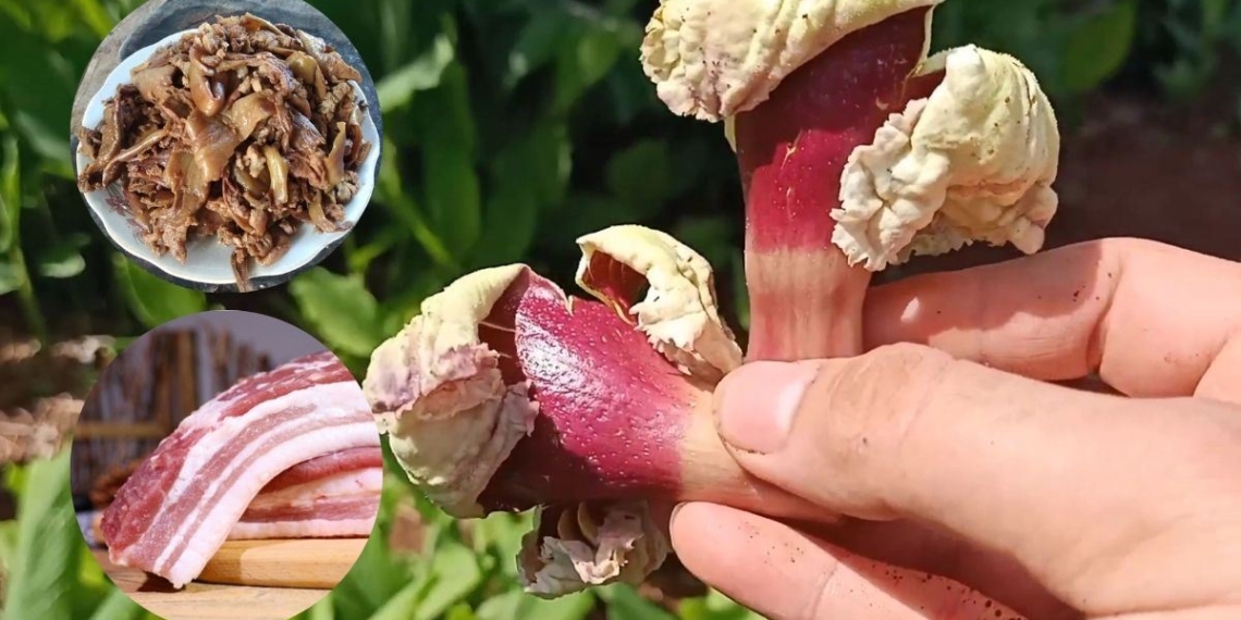 how to cook fragrant braised pork to eat once and crave 22250