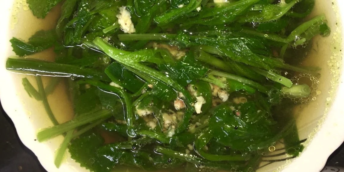 how to cook green cabbage soup with fresh shrimp delicious recipe 11939