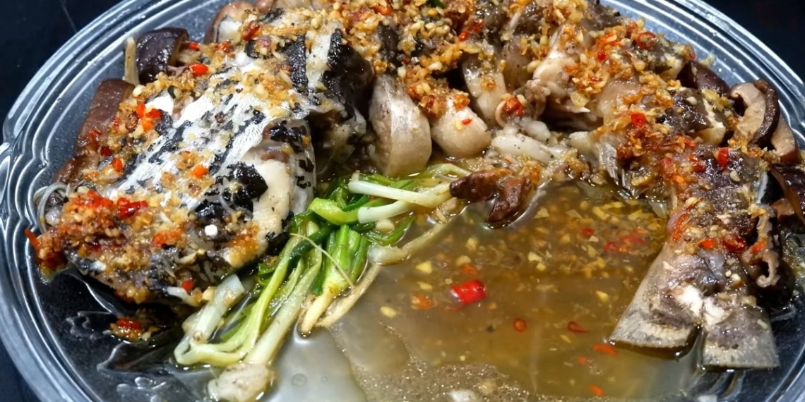 how to make delicious steamed catfish to entertain the whole family 14595