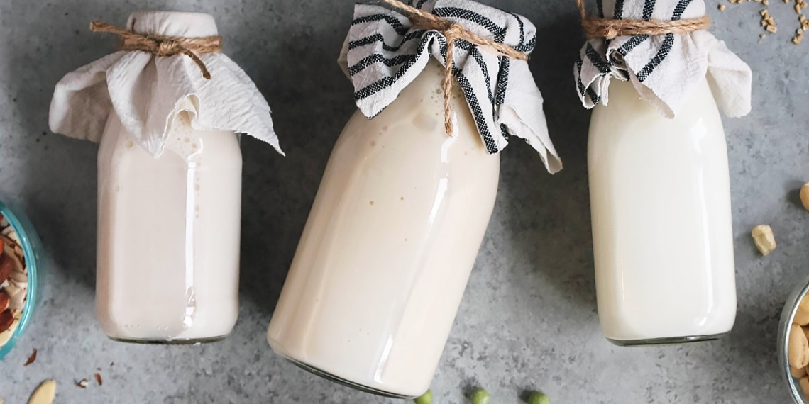 how to make holland soy milk and holland smoothie delicious fat 05225