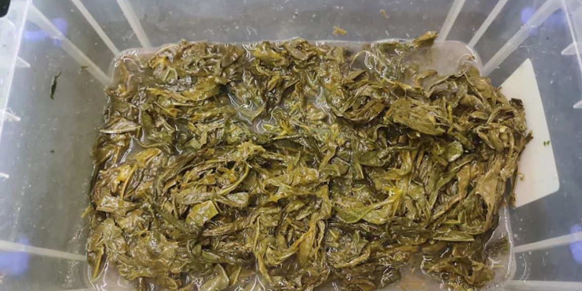 how to make simple delicious sour salted vegetables beautiful in 22248