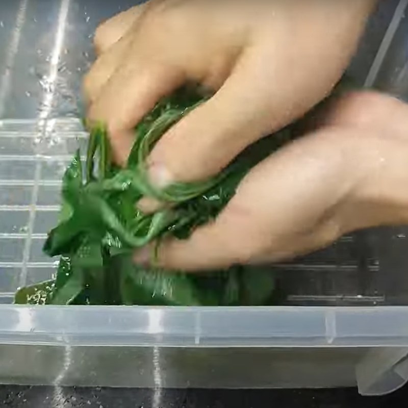 Step 3 Fermenting cassava leaves