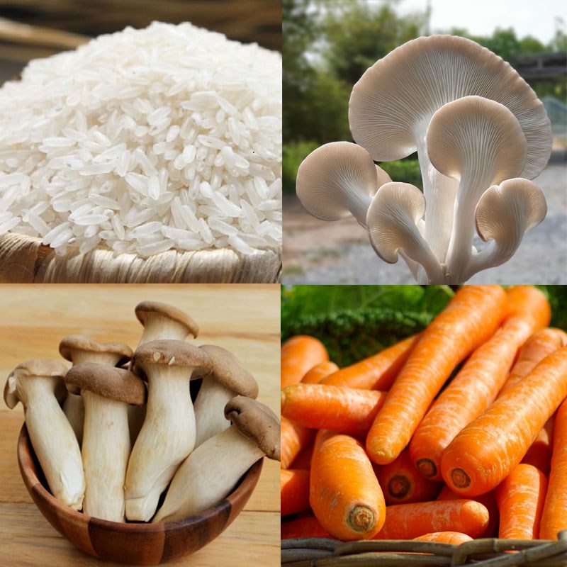Ingredients for vegetarian oyster mushroom porridge