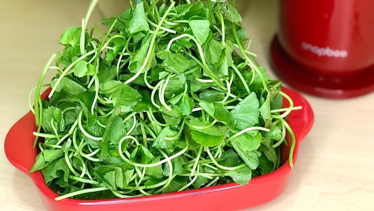 Ingredients for pennywort juice