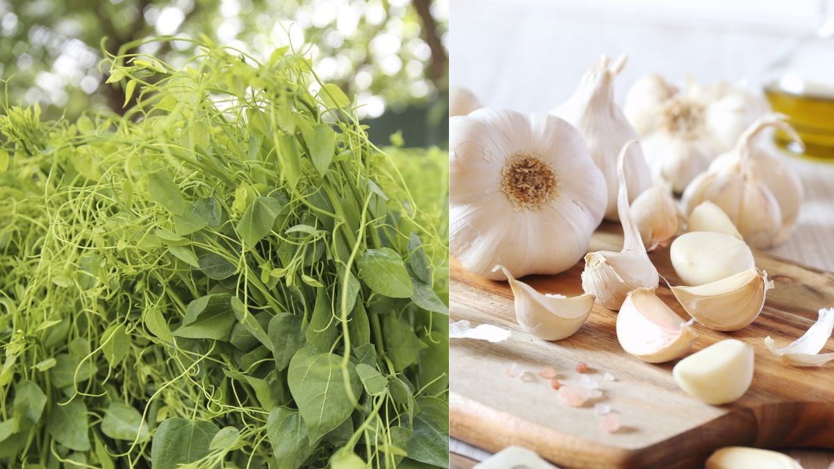Ingredients for the dish 3 ways to prepare stir-fried bo khai with a deep pan super simple