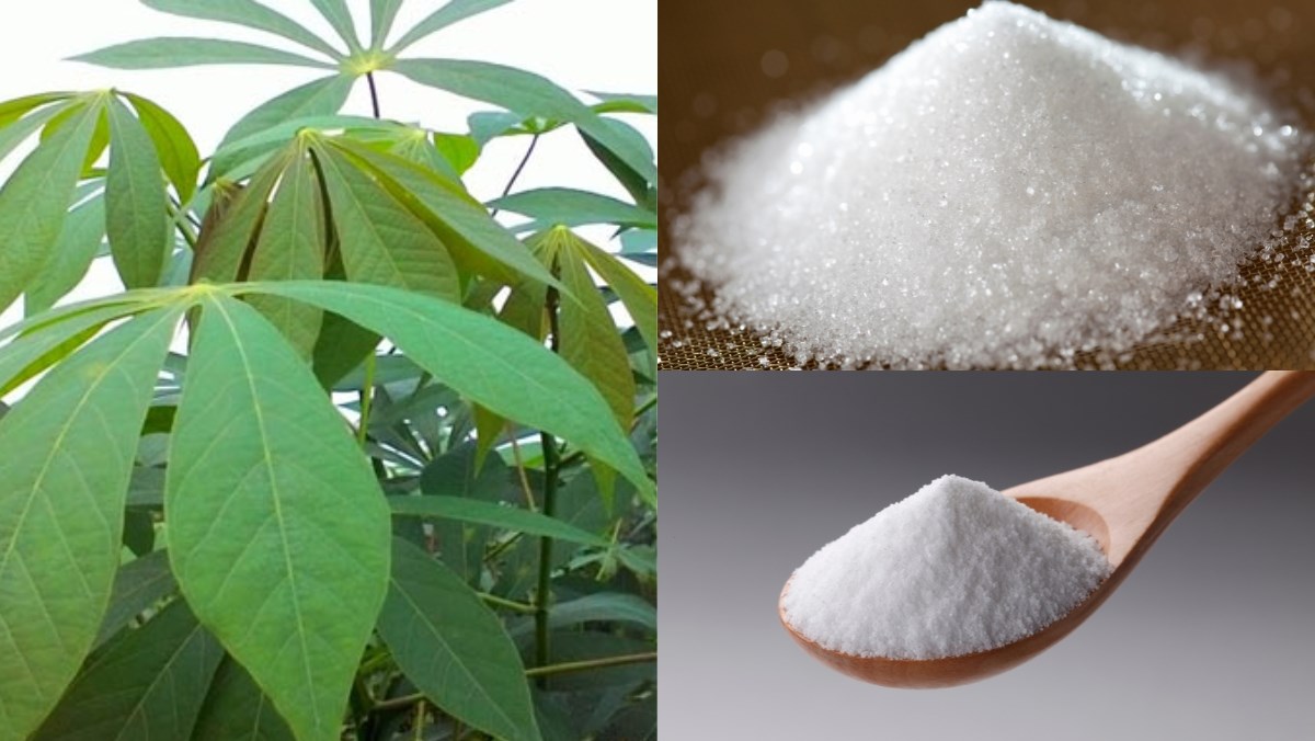 Ingredients for pickled cassava leaves