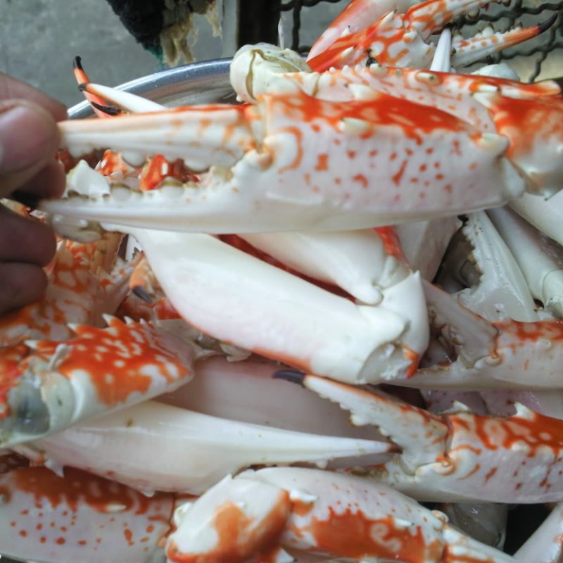 Step 1 Prepare crab claws Fried Crab Claws with Tamarind