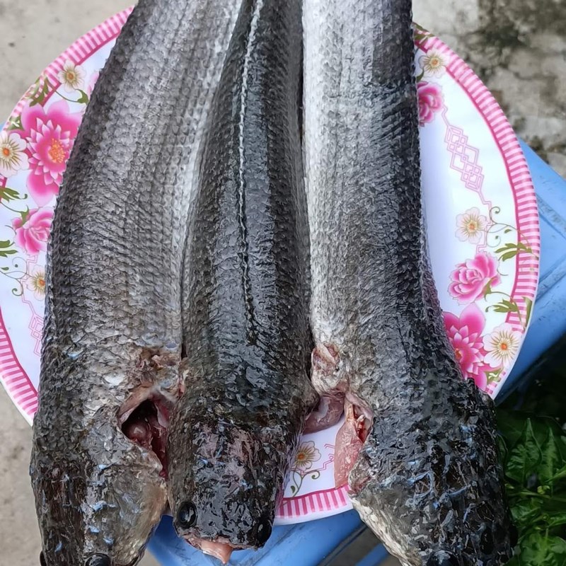 Step 1 Prepare the snakehead fish for Snakehead fish Quang noodles (recipe shared by users)