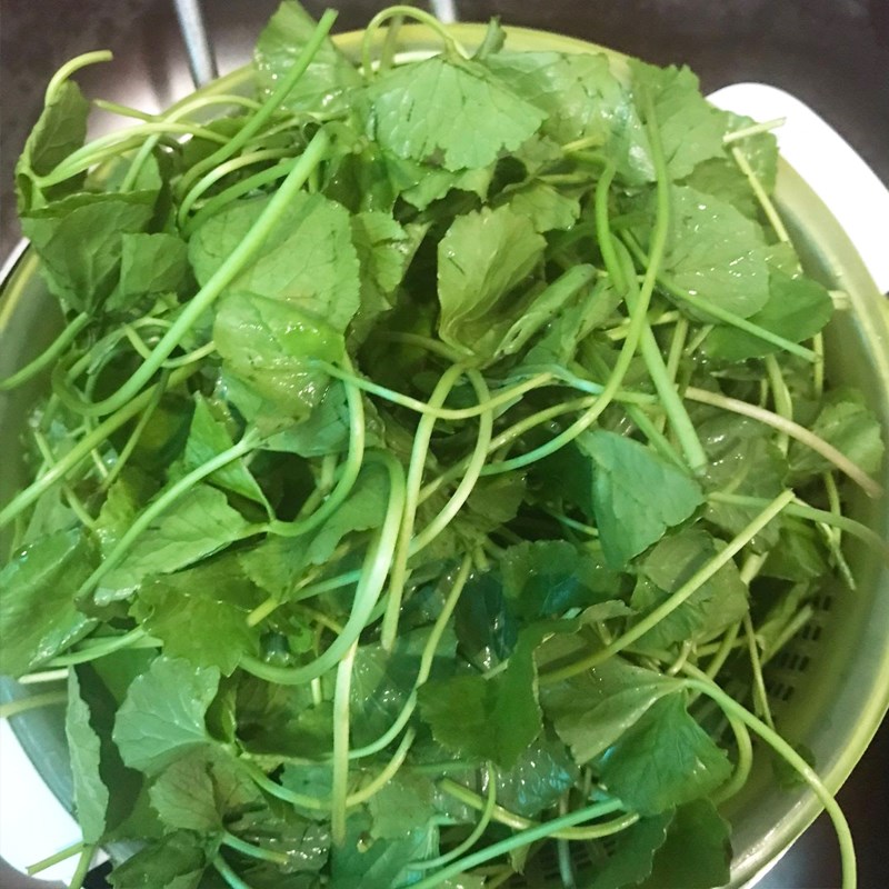 Step 1 Prepare the ingredients for Pennywort Condensed Milk