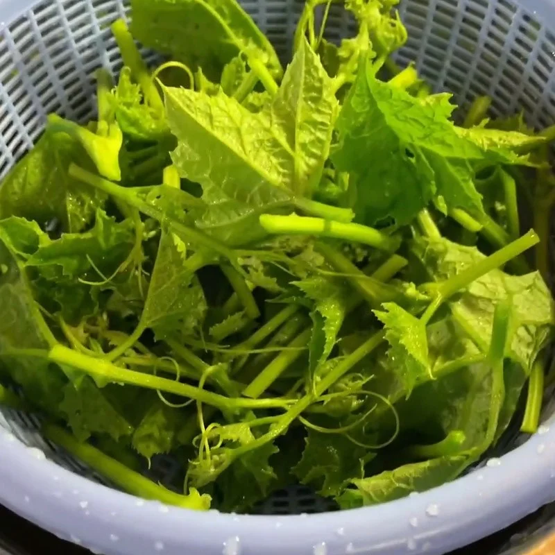 Step 1 Prepare the bottle gourd shoots Stir-fried bottle gourd shoots with garlic