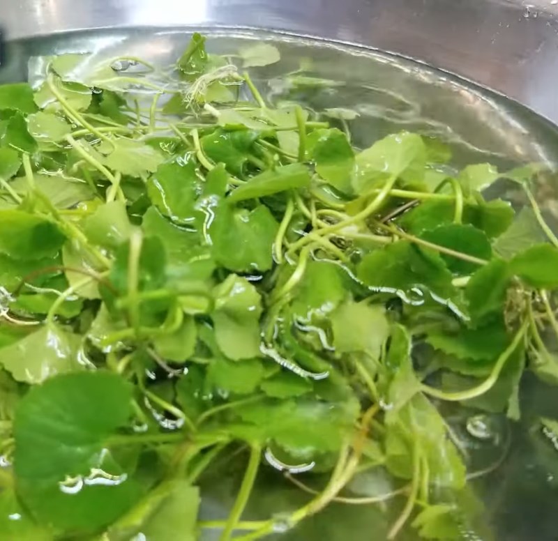 Step 1 Prepare the watercress Watercress with coconut water