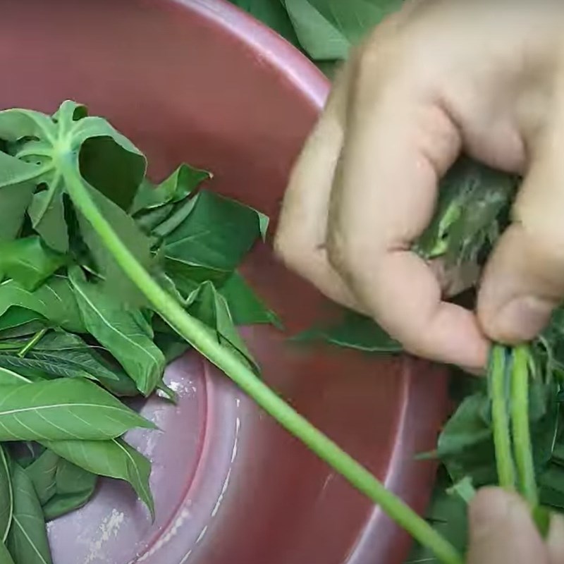 Step 1 Prepare cassava leaves for pickling