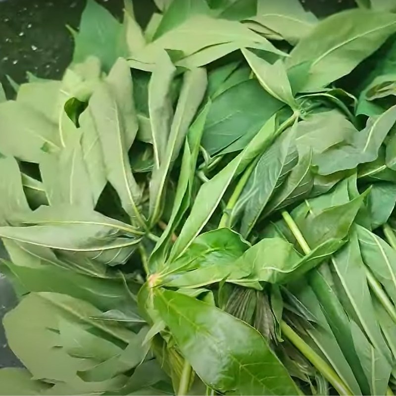 Step 1 Prepare cassava leaves for pickling