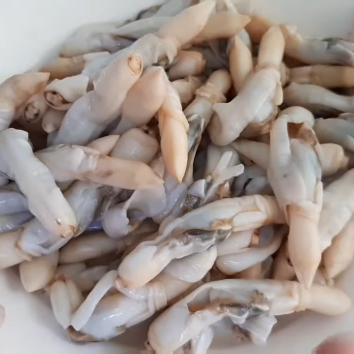 Step 4 Prepare and boil razor clams Stir-fried razor clams with vegetable noodles