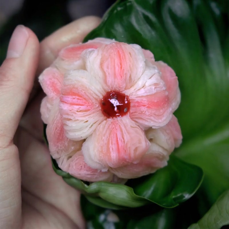Step 6 Product Lotus Flower Cake