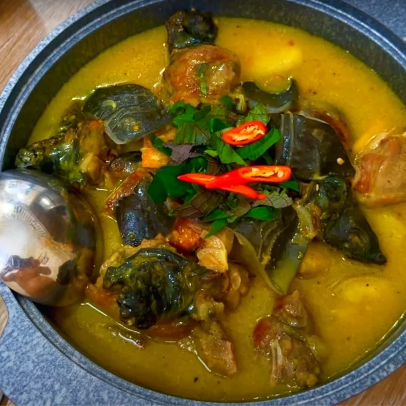 Step 5 Final Product Turtle Stew with Banana and Tofu
