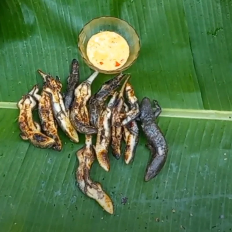 Step 2 Enjoy Grilled Lizard