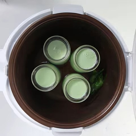 Step 3 Yogurt incubation Pandan yogurt