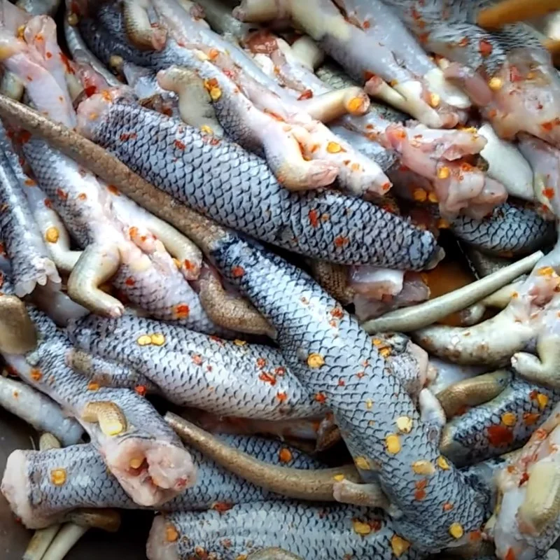 Step 1 Marinate the Lizard Snake Grilled Lizard Snake with Salt and Chili