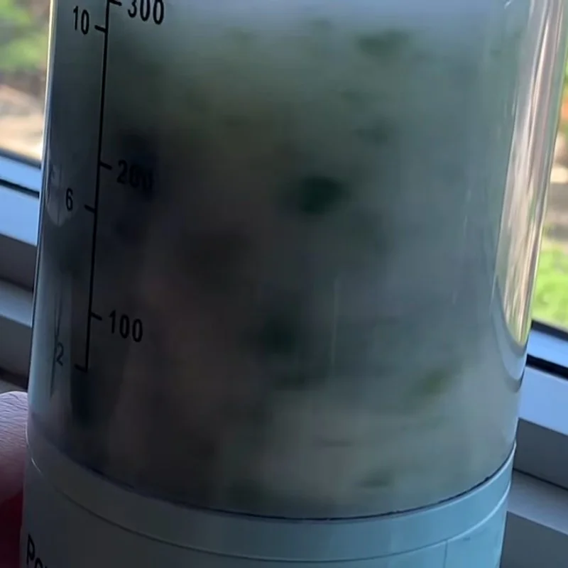 Step 2 Blend fresh mint and lime mixture Fresh mint lime tea