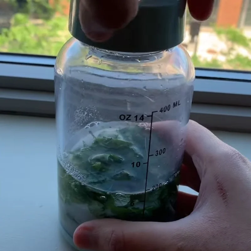 Step 2 Blend fresh mint and lime mixture Fresh mint lime tea