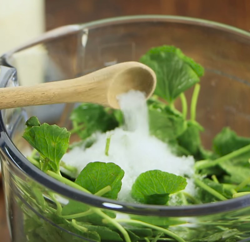Step 2 Blend the watercress with coconut water Watercress with coconut water