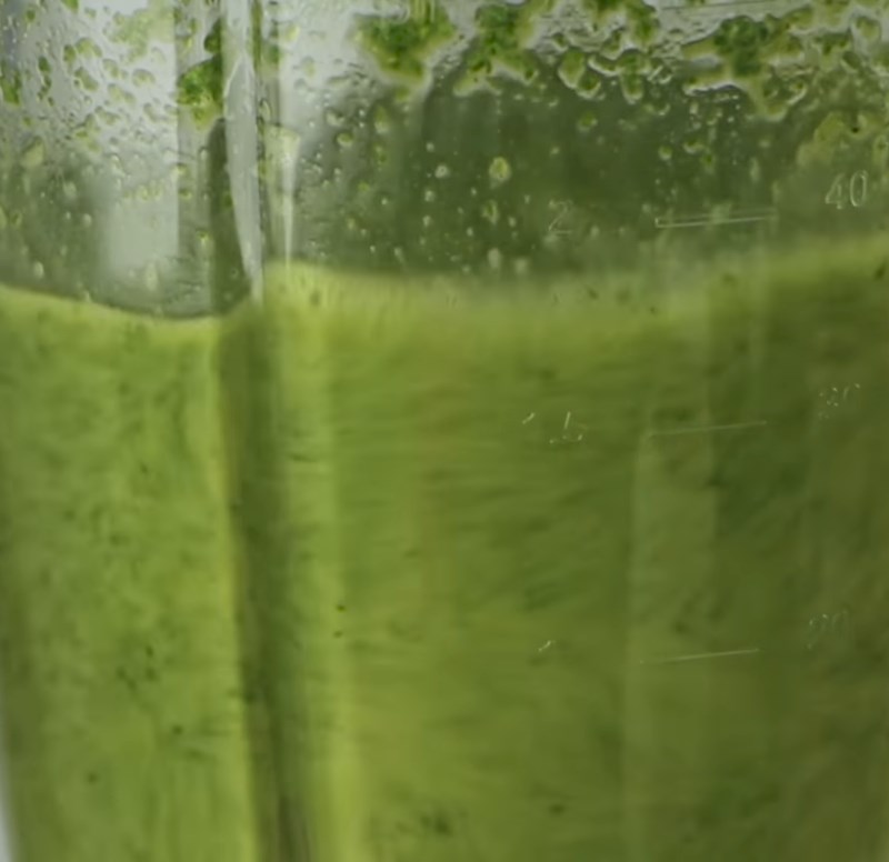 Step 2 Blend the watercress with coconut water Watercress with coconut water